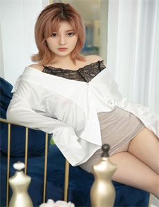 《藏羚王》
